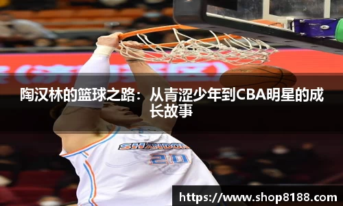 陶汉林的篮球之路：从青涩少年到CBA明星的成长故事